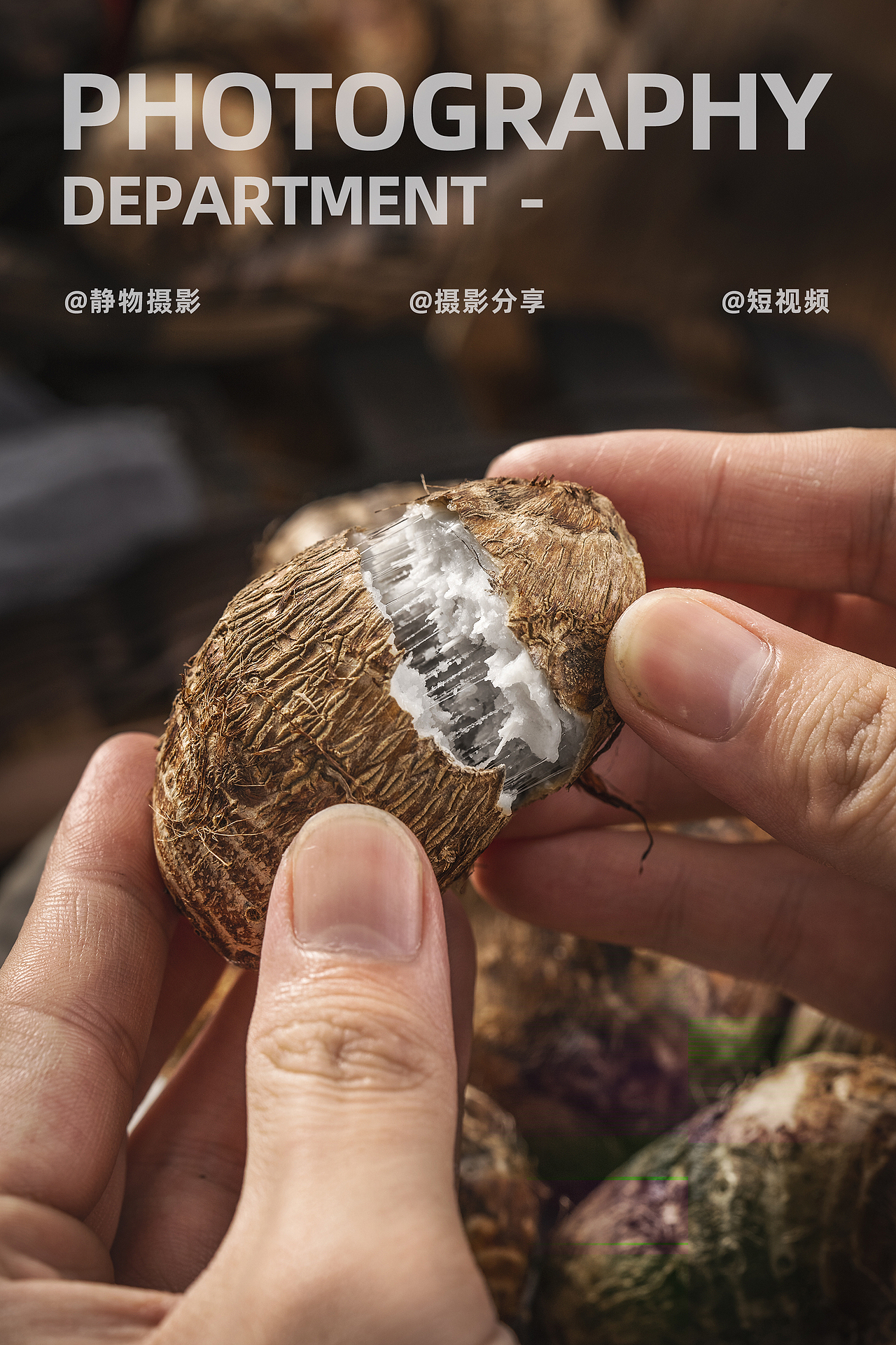 芋头静物摄影*1