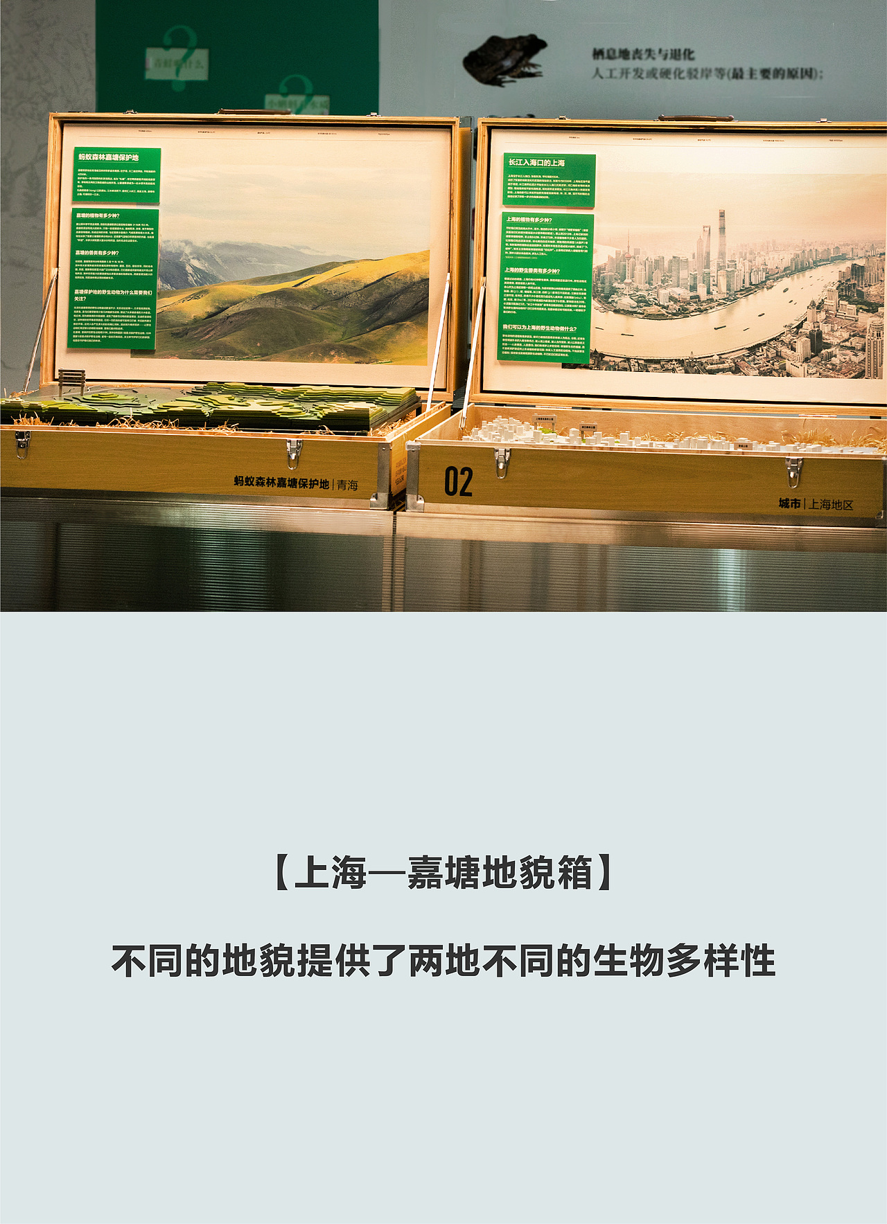 蚂蚁森林 移动的森林博物馆