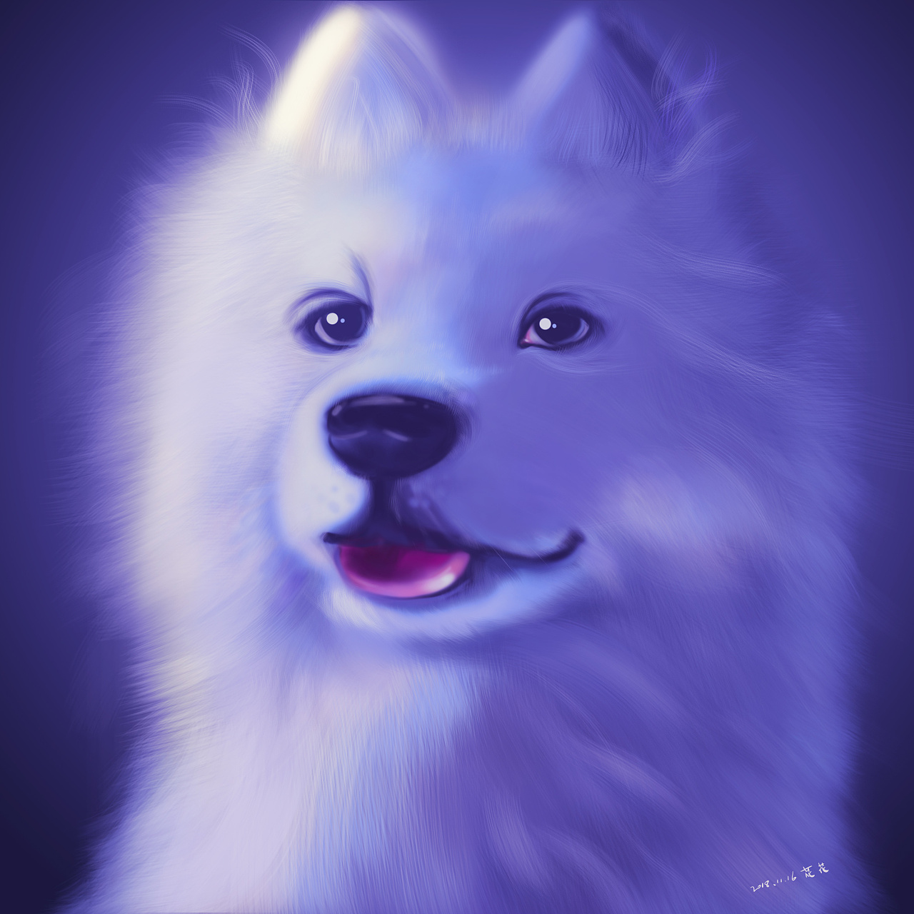 毛茸茸的萨摩耶