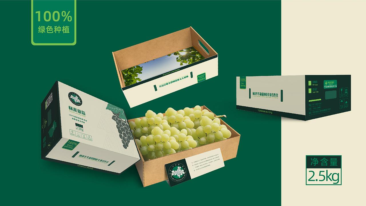 【零度创意】沙营牌葡萄logo及包装设计（图ZMjc1Mzc2NjM2） - 包装 - 站酷设计师零度艺舍品牌策划原创素材 - 站酷ZCOOL