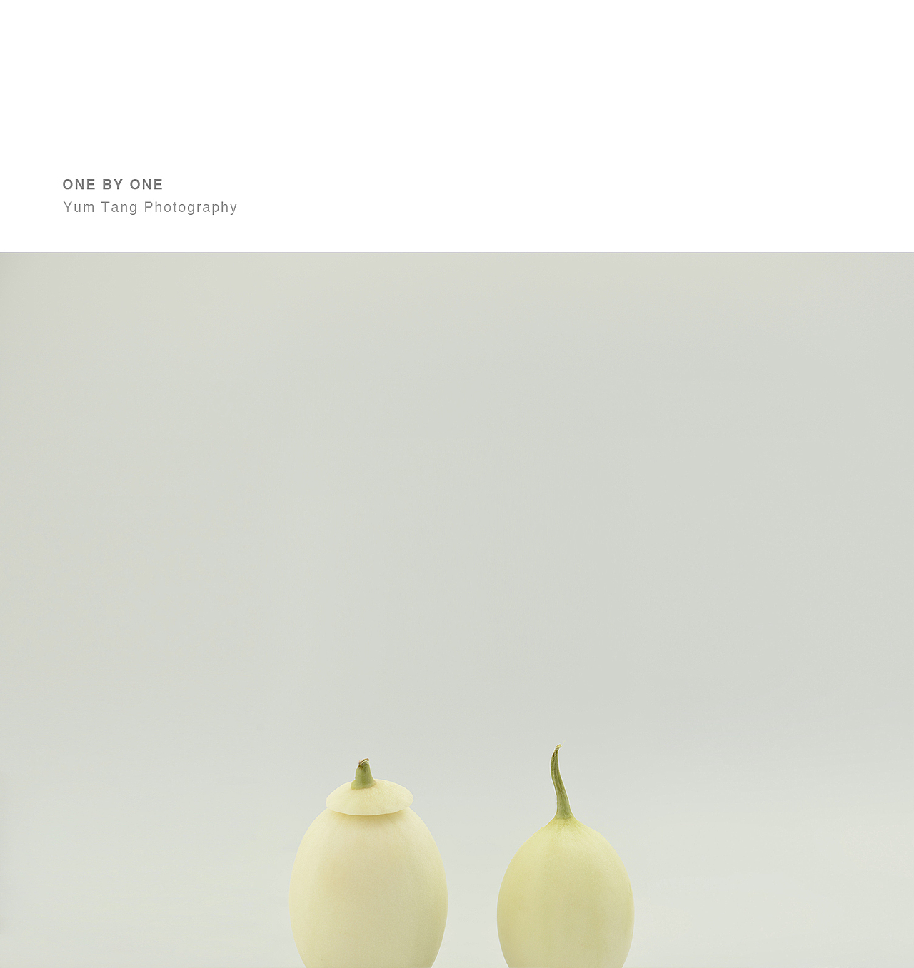 新蒜和郁金香瓜（图ZNzgxMTQ5MTI=） - 其他摄影 - 站酷设计师YUM汤汤原创素材 - 站酷ZCOOL