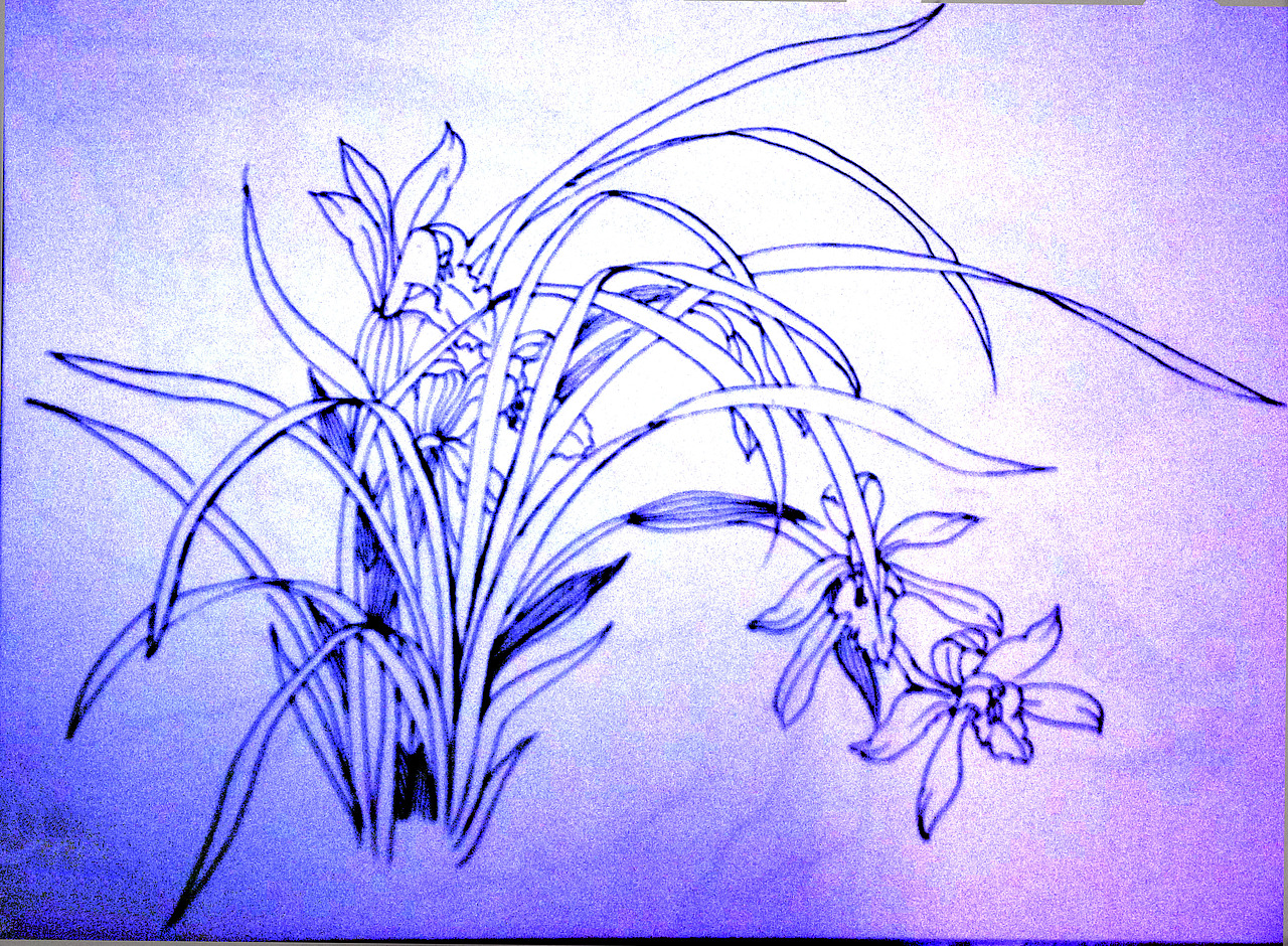 钢笔速写（图ZNTk1NjM0MzI=） - 艺术插画 - 站酷设计师甲甲玲原创素材 - 站酷ZCOOL