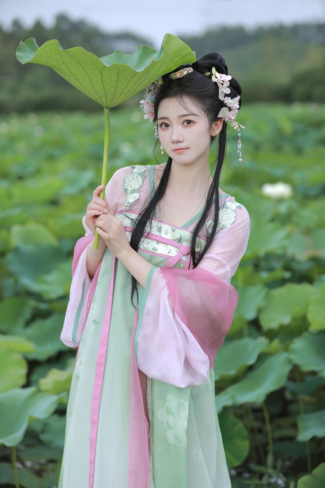 荷叶罗裙一色裁，芙蓉向脸两边开