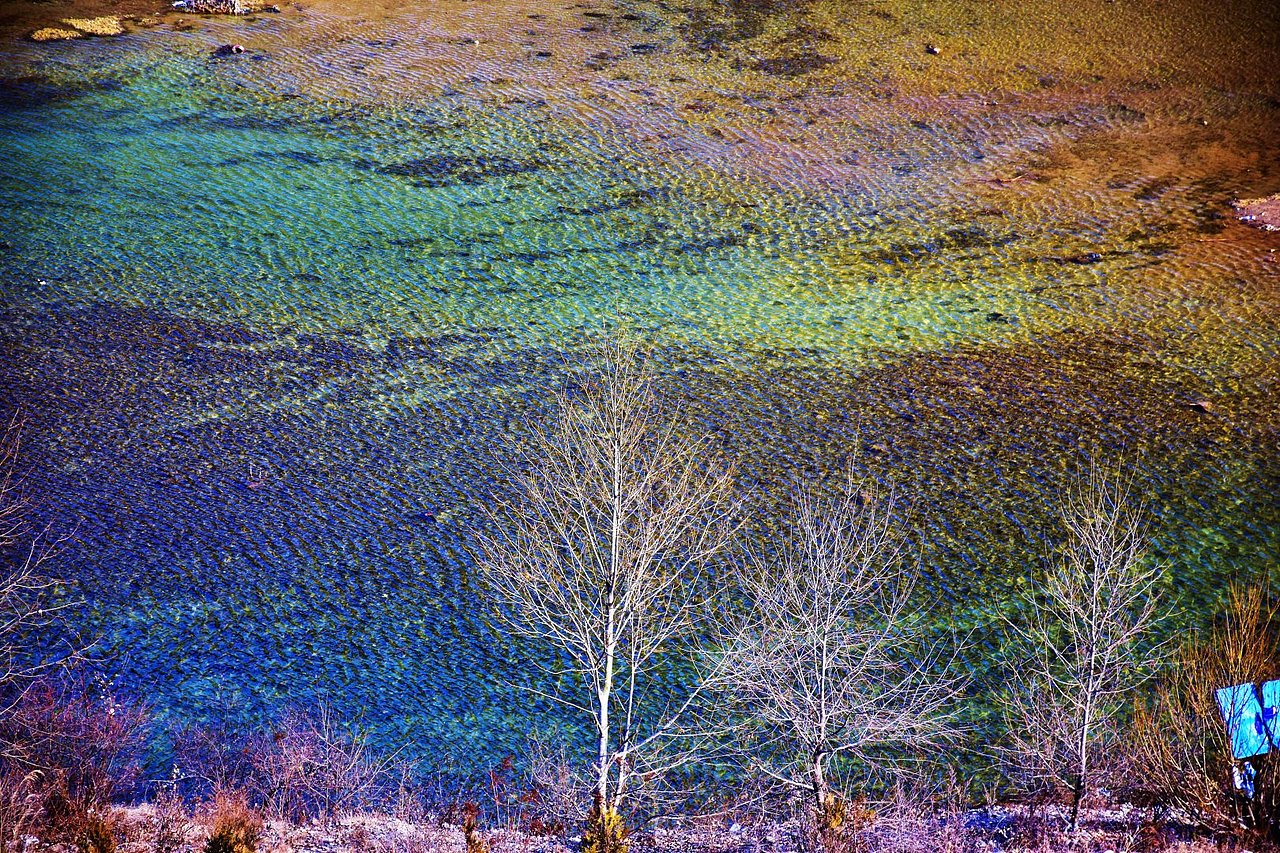 单反摄影习作与日常