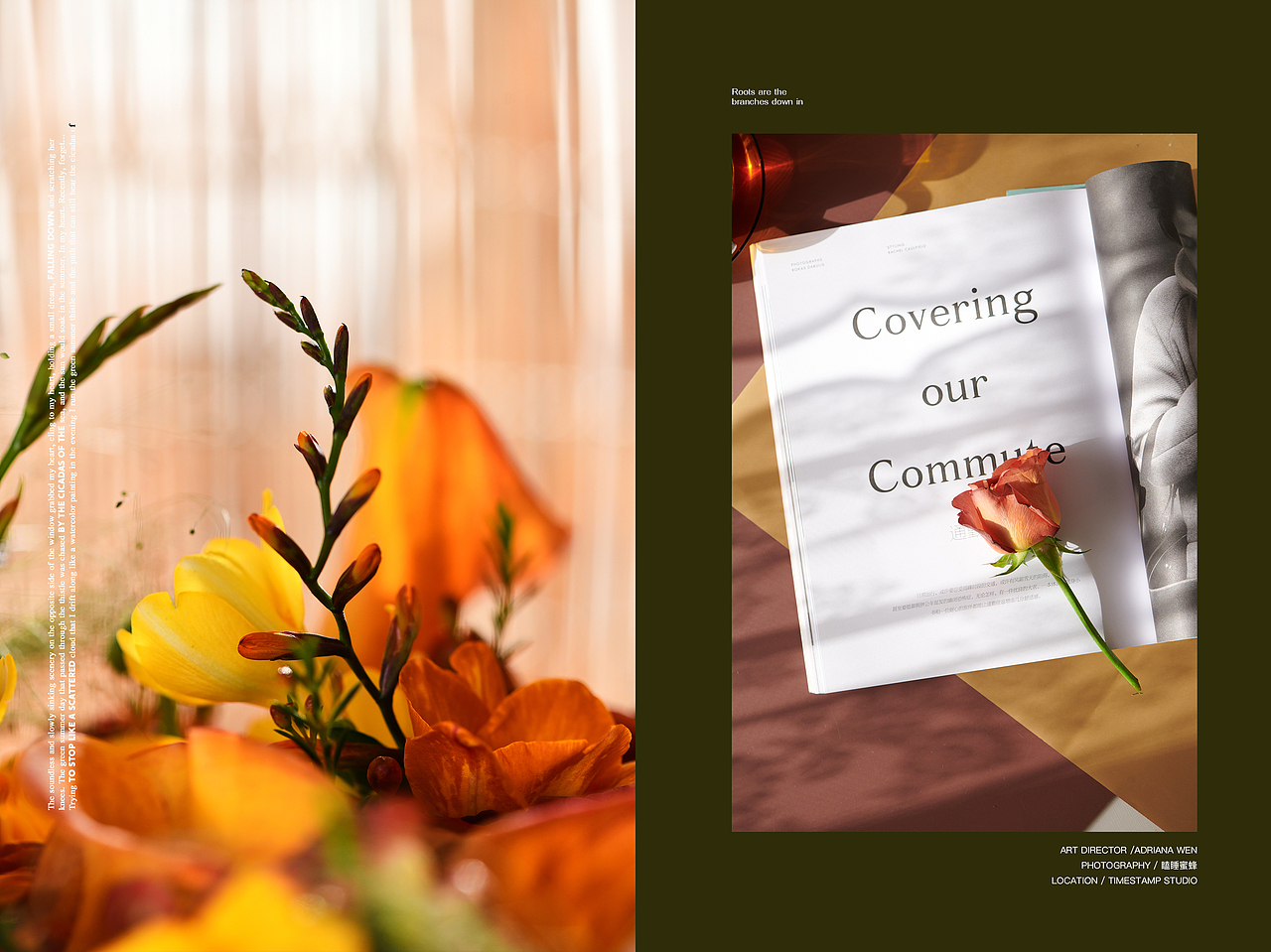 【体感上春天的到来是令人愉悦的】（图ZMTk5MjM4ODI0） - 产品摄影 - 站酷设计师瞌睡蜜蜂原创素材 - 站酷ZCOOL