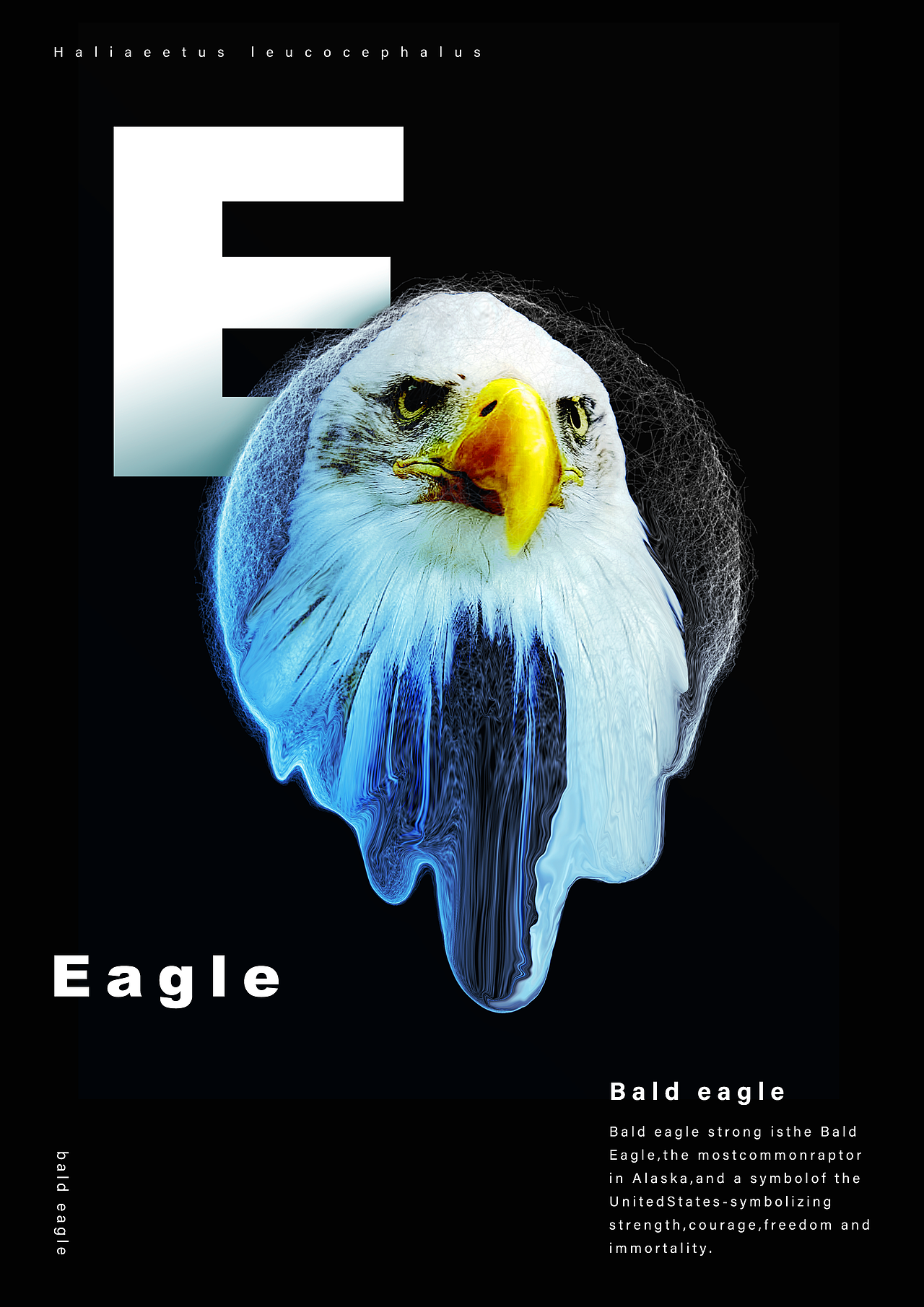 动物集（图ZMTI4NjAyMjg4） - 海报 - 站酷设计师吃丸子的章鱼原创素材 - 站酷ZCOOL