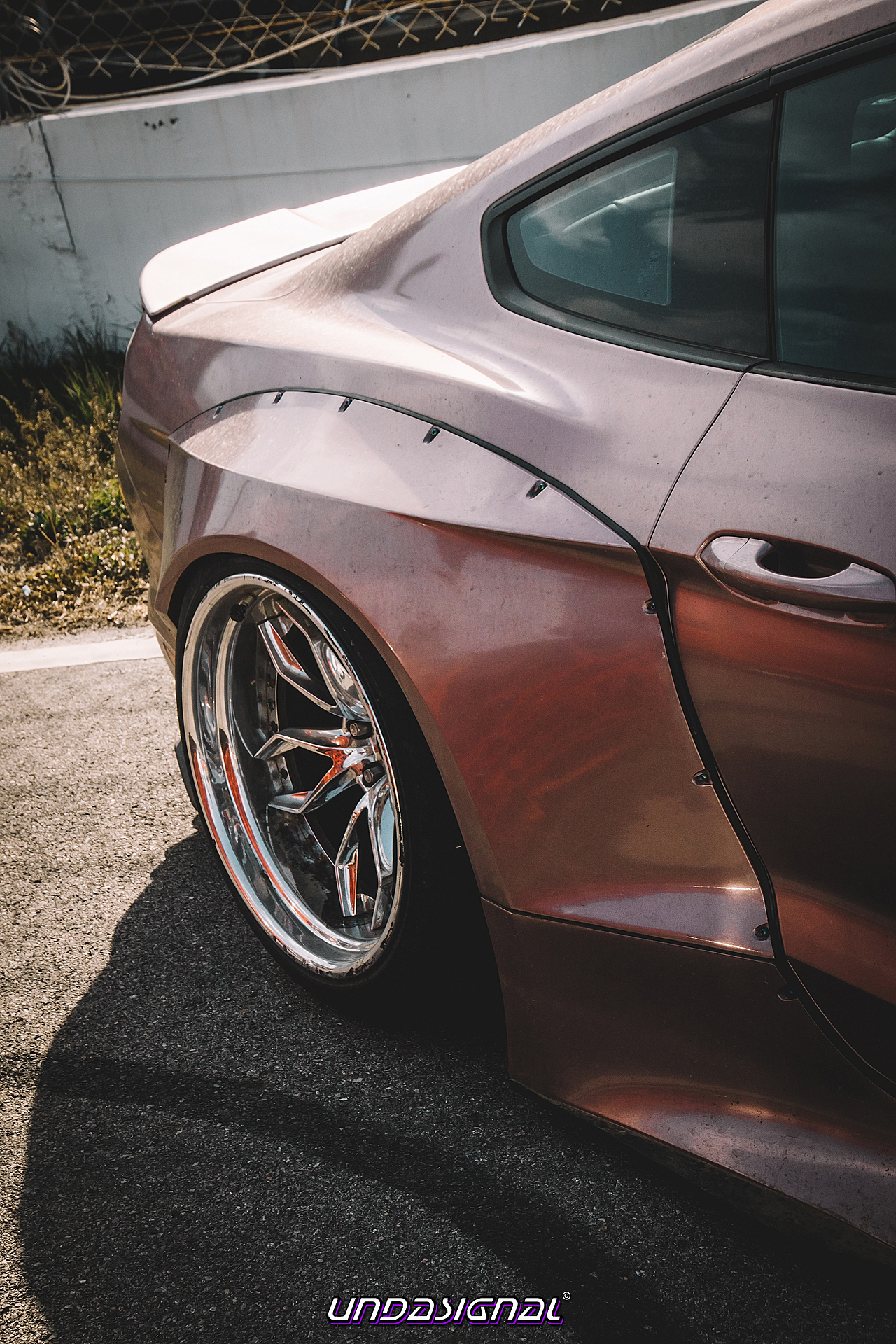 汽车摄影|金港复苏节