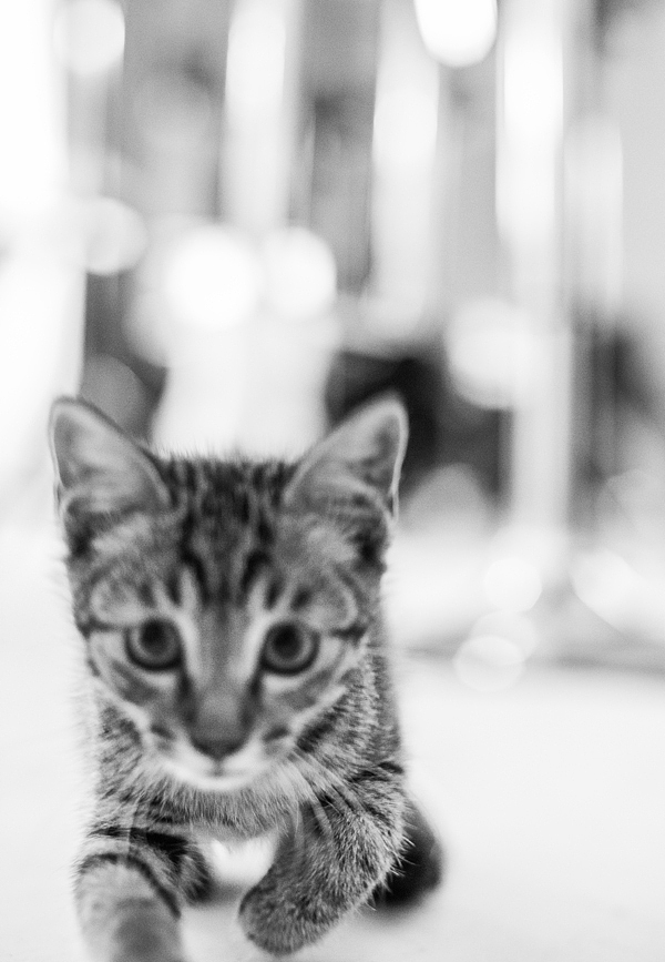 乔治的幸福时光2