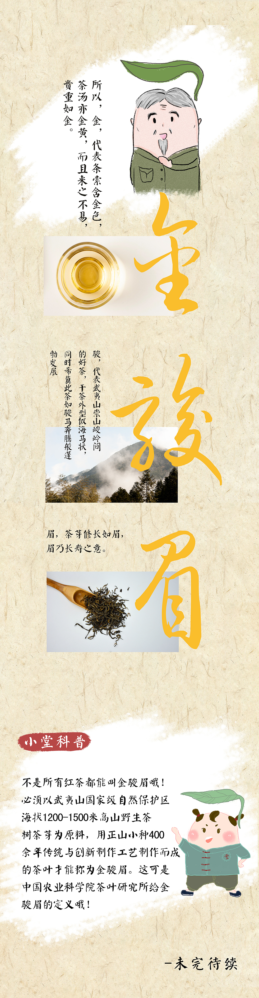 金骏眉创始——正山堂