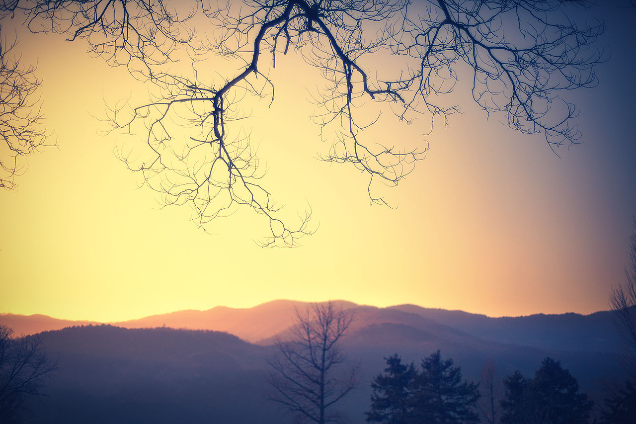 冬誌2020（图ZMjQ3Nzk5NzY0） - 风光摄影 - 站酷设计师amhx原创素材 - 站酷ZCOOL