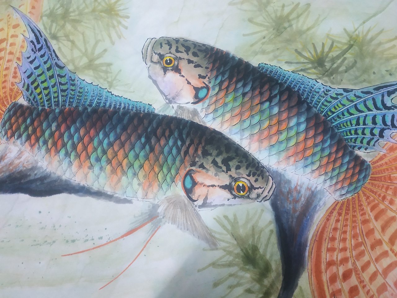 李旭东国画斗鱼【弓旗】