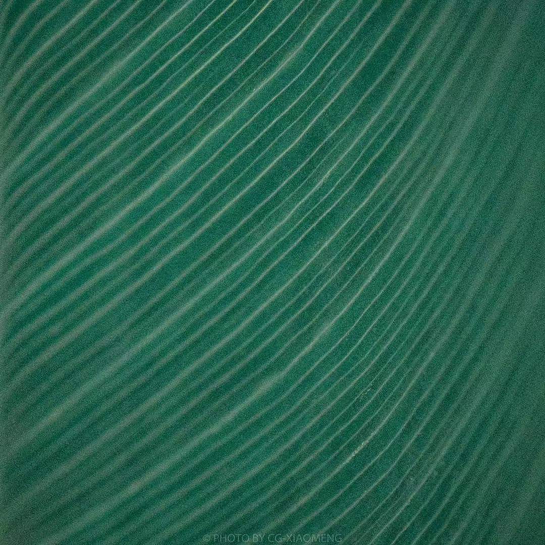 随拍·游赏（杭州亚运公园）（图ZMjg0NTk2MzIw） - 风光摄影 - 站酷设计师CG_小萌原创素材 - 站酷ZCOOL