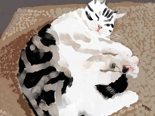 画猫日常5