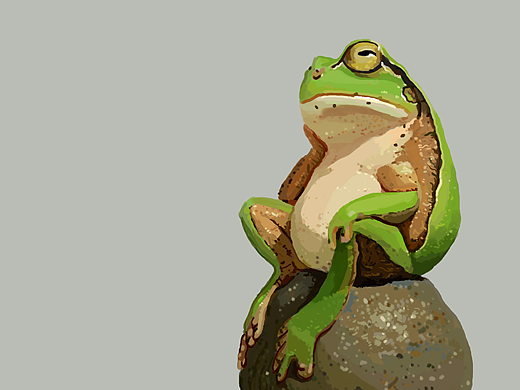 黑白插画