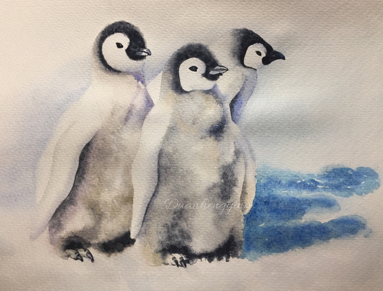 企鹅:penguin:宝宝