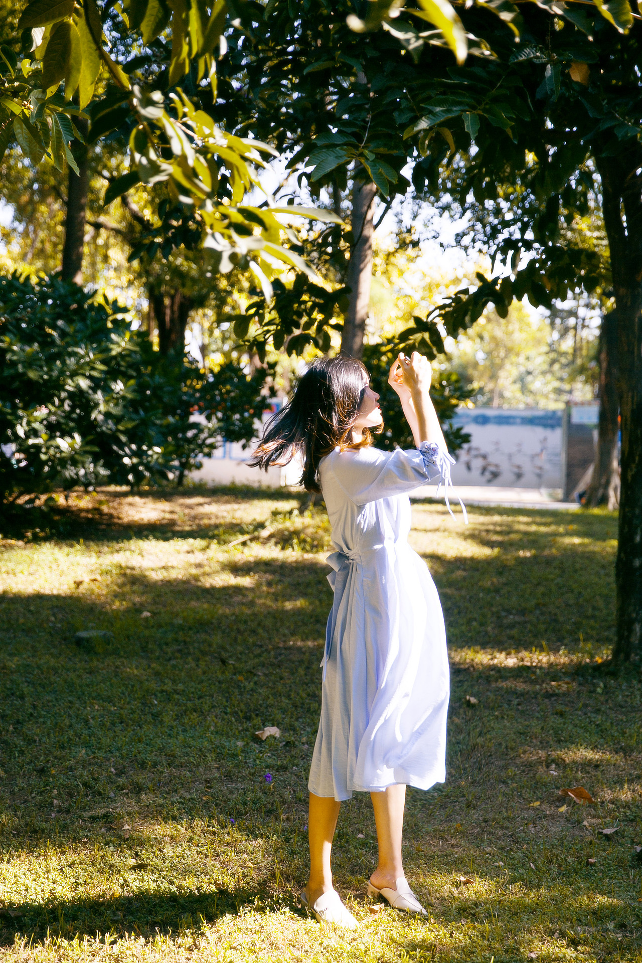 阳光金灿灿,风轻轻起,那刻再见你