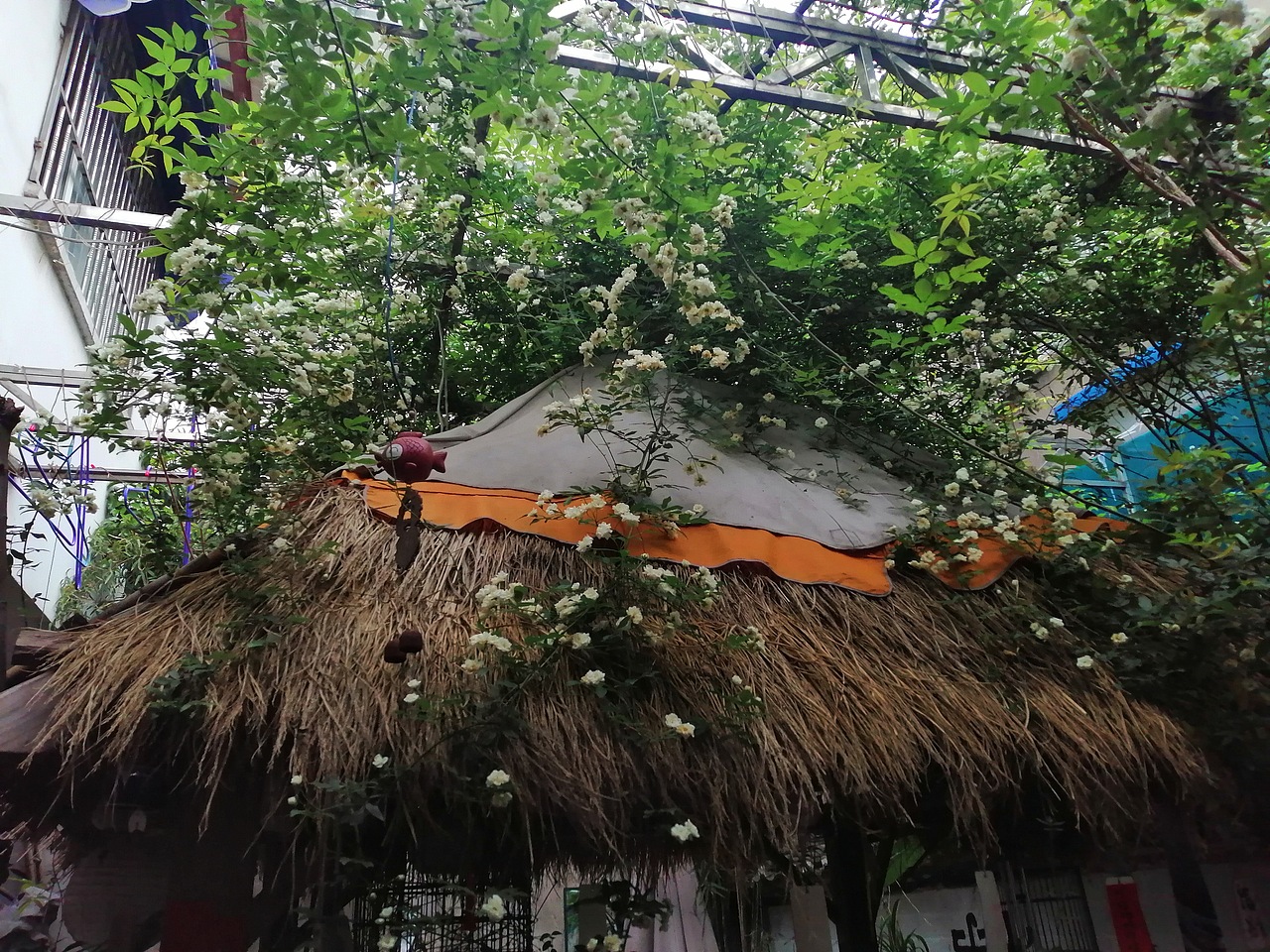 胡相思（图ZMjE0NTI0NTA4） - 人文/纪实摄影 - 站酷设计师肉肉同学ing原创素材 - 站酷ZCOOL