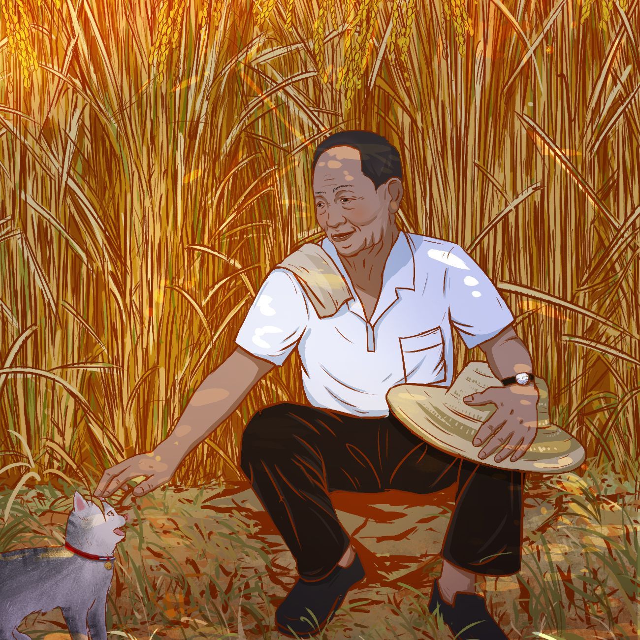 袁爷爷的禾下乘凉梦