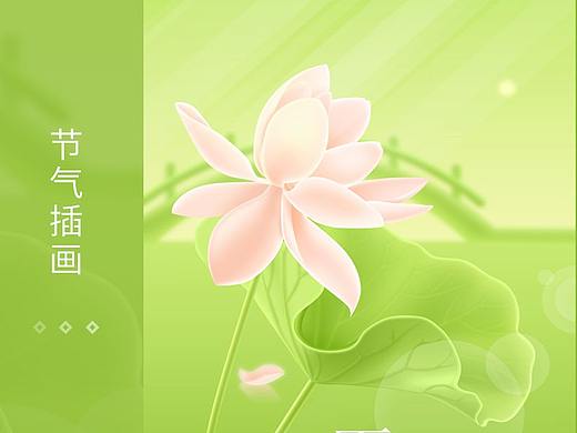 二十四节气插画