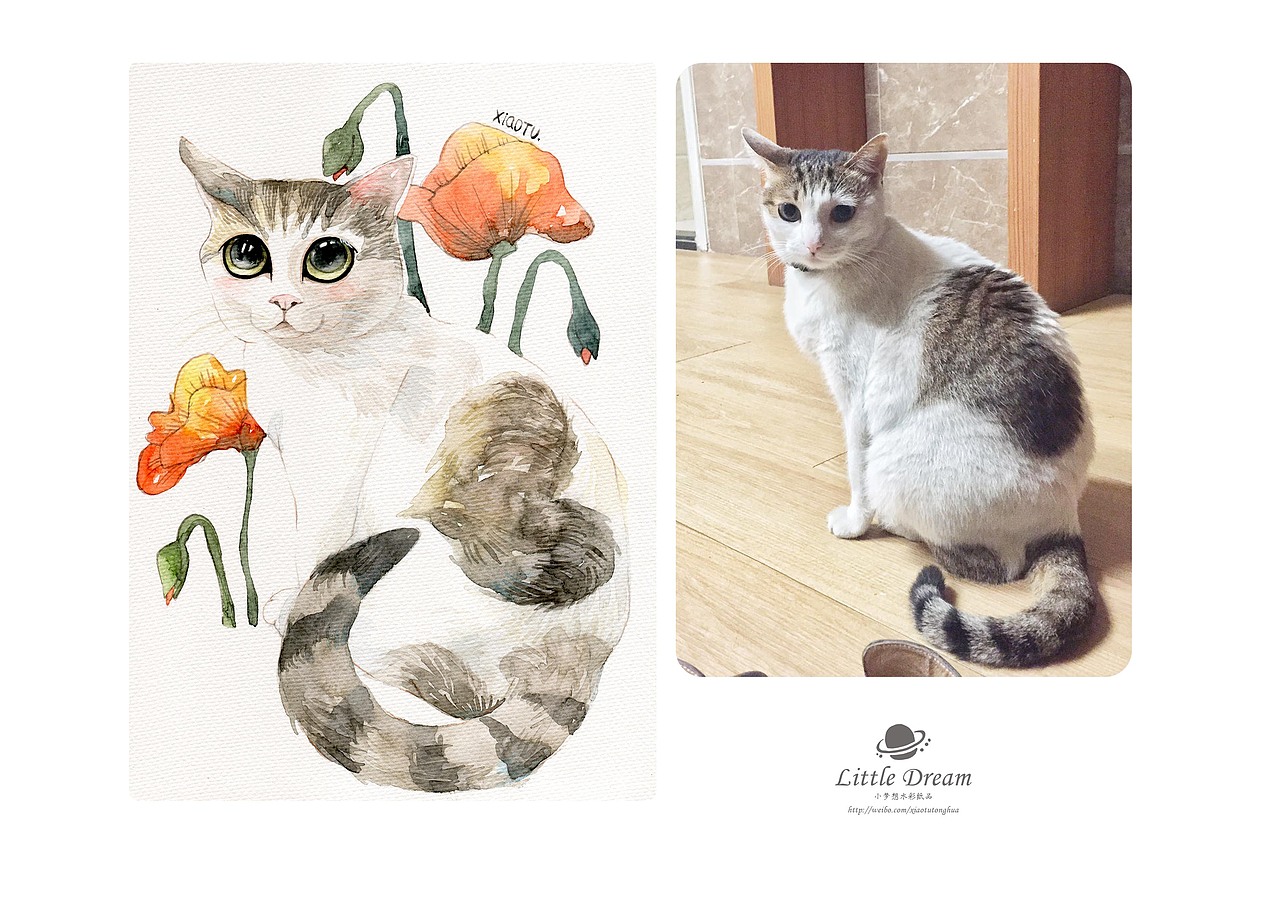 画出这个世界的萌【萌宠肖像定制】【Ⅲ】