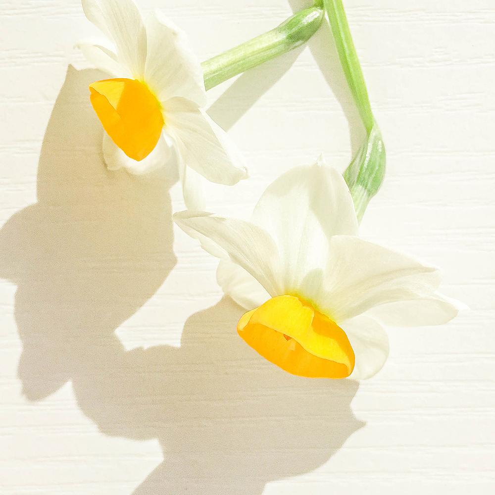 手机随拍,记录生活点滴(肆)