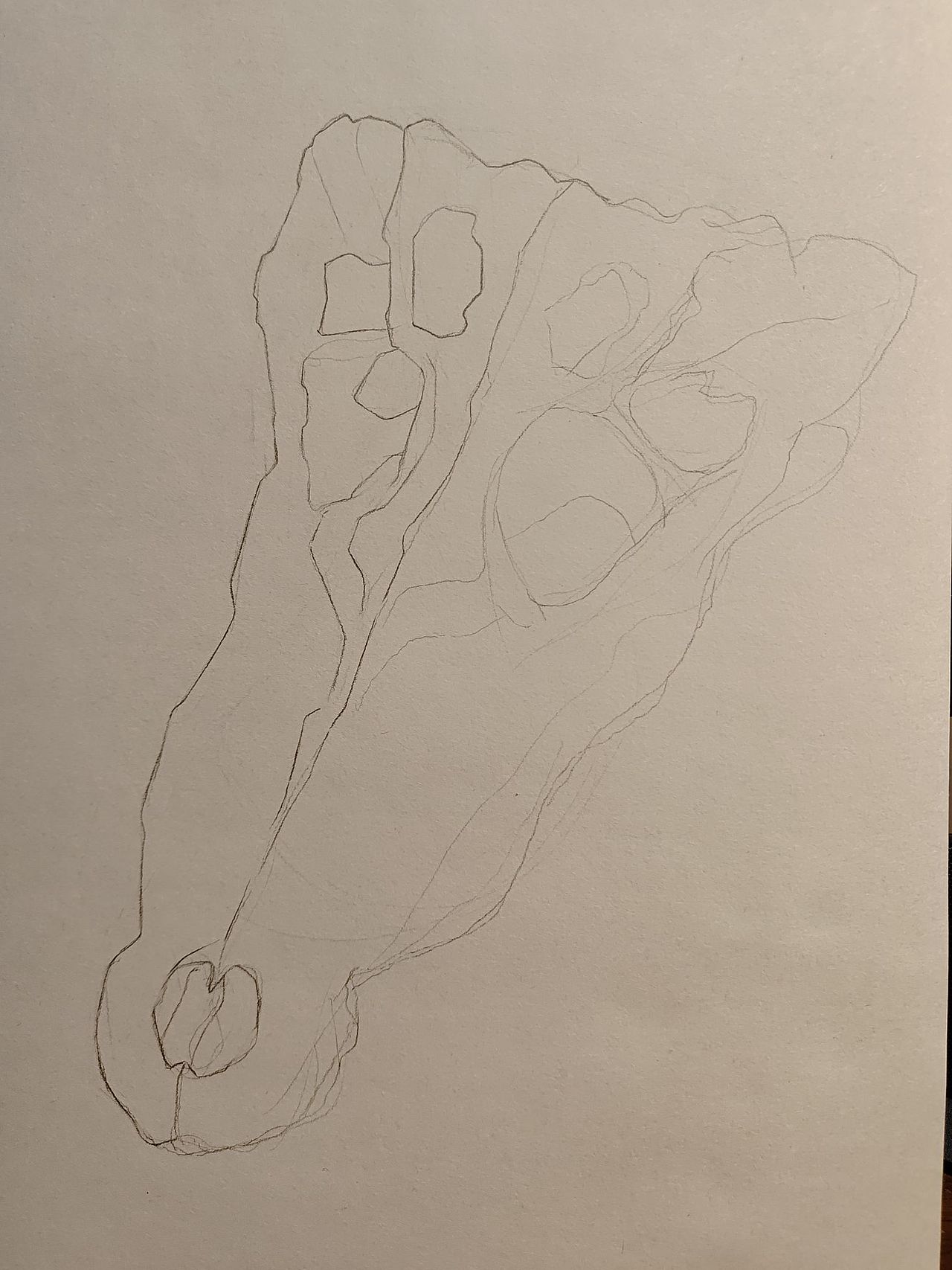 《鳄》（图ZMzQ5NTg2Mzc2） - 创作习作 - 站酷设计师Darz_V原创素材 - 站酷ZCOOL