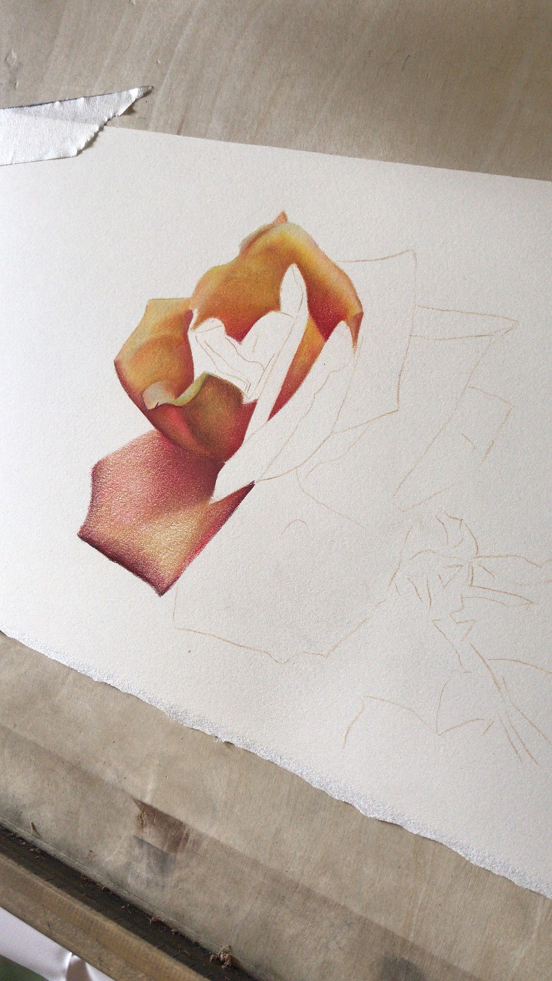 彩铅画，手绘（图ZMjQ5NjcyNjY0） - 绘画 - 站酷设计师臻于至善彩铅原创素材 - 站酷ZCOOL