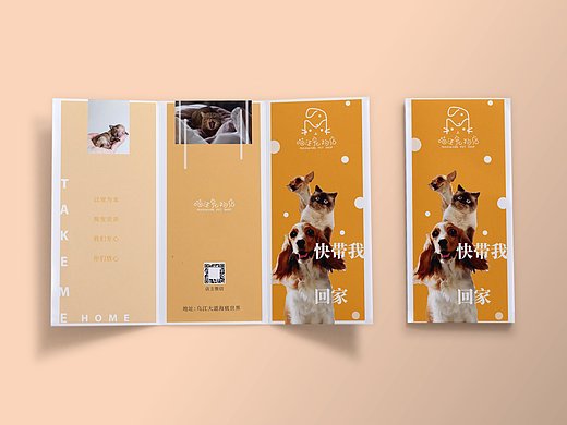 43002年前喵汪宠物店宣传册/画册平面-书籍/画册426042年前夜空天灯