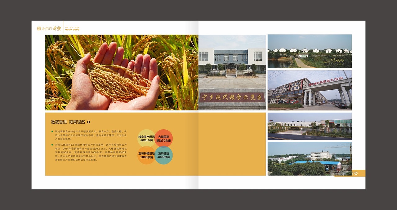 金色的希望 乡镇 画册（图ZMzYzNTc4Mjg=） - 书籍/画册 - 站酷设计师fxy216ccc原创素材 - 站酷ZCOOL