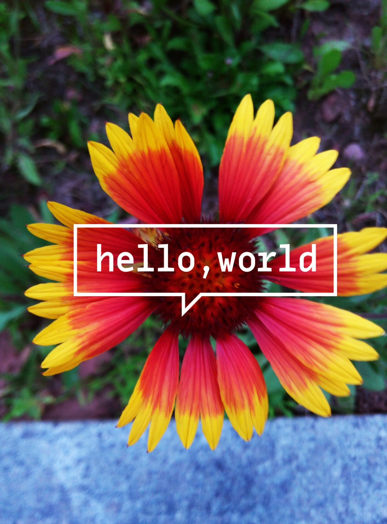 hello,world