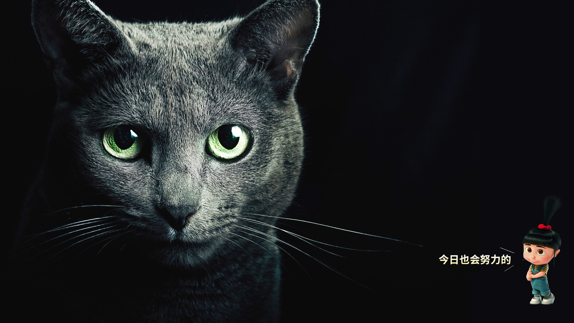 沅沐鋅的個(gè)人主頁(yè)（封面預(yù)覽） - 主頁(yè)封面設(shè)置 - 站酷設(shè)計(jì)師沅沐鋅原創(chuàng)素材 - 站酷ZCOOL