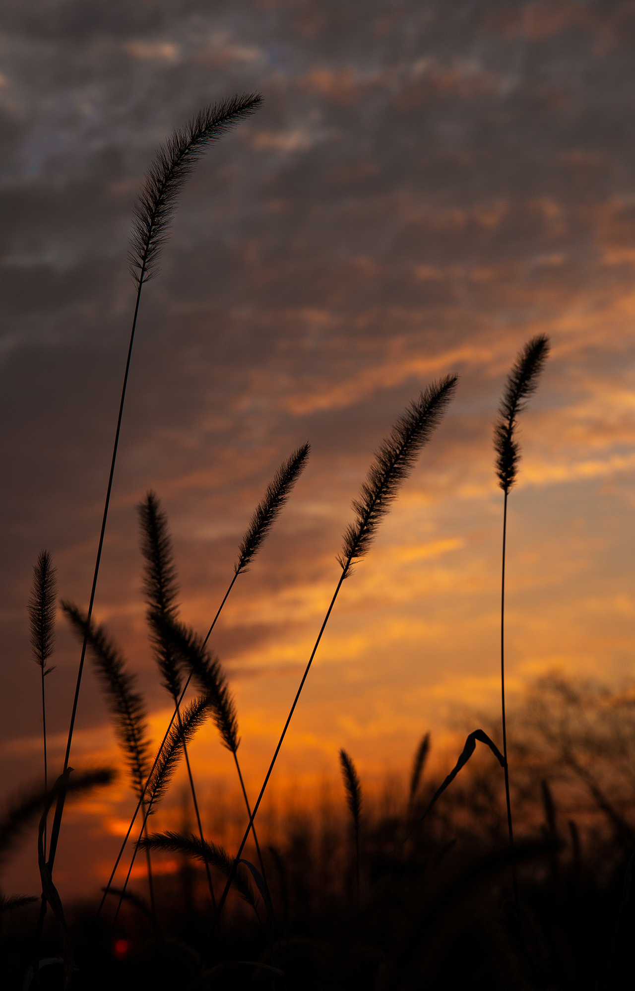 人间不值得（图ZMjA5MjQwODI0） - 其他摄影 - 站酷设计师没钱只好去作图原创素材 - 站酷ZCOOL