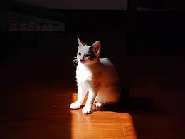 我和家里的寶貝們