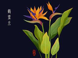 一組花卉練習(xí)~