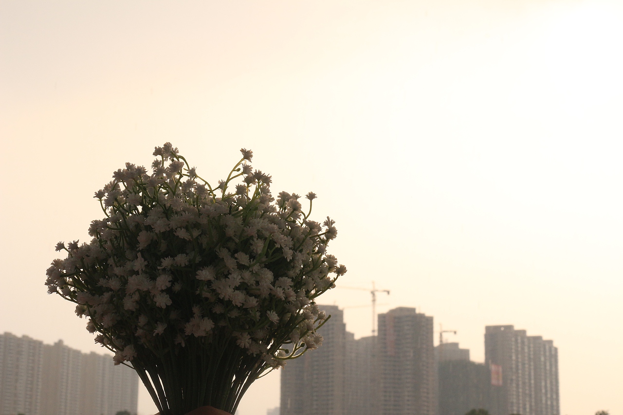 《不再见》（图ZMjAyMjM3ODQ=） - MV - 站酷设计师鱼沫原创素材 - 站酷ZCOOL