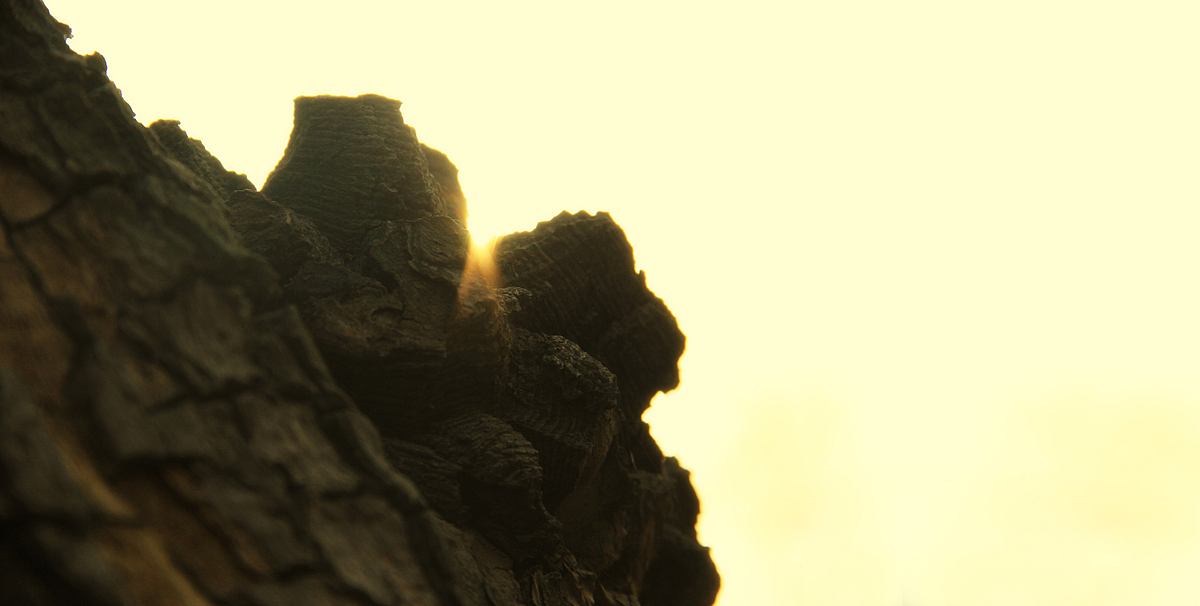 春天随拍（图ZODc5MDg0OA==） - 其他摄影 - 站酷设计师lixiangpeng1122原创素材 - 站酷ZCOOL