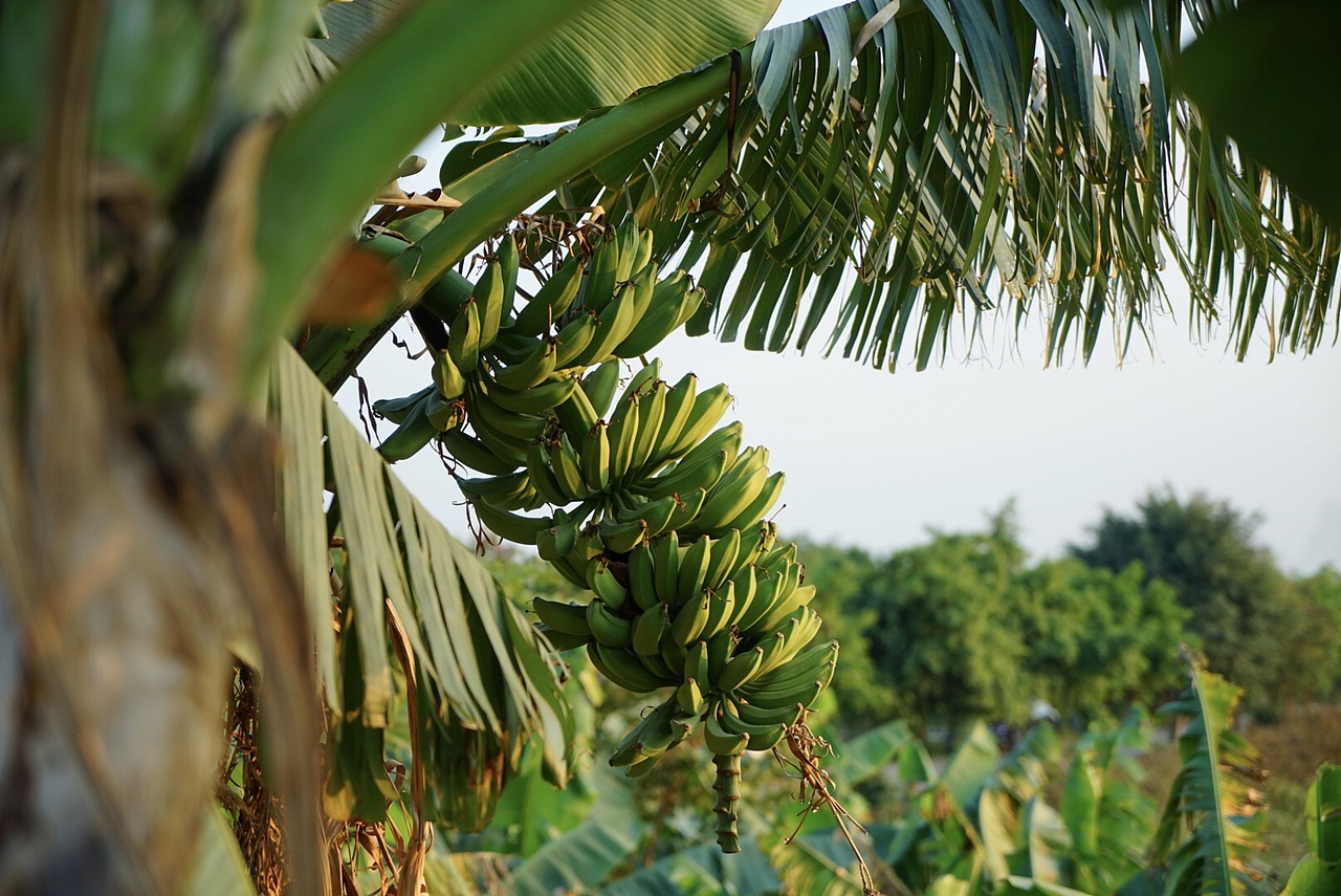 随拍（图ZMTUxMjU1MTY0） - 风光摄影 - 站酷设计师yomilasky原创素材 - 站酷ZCOOL