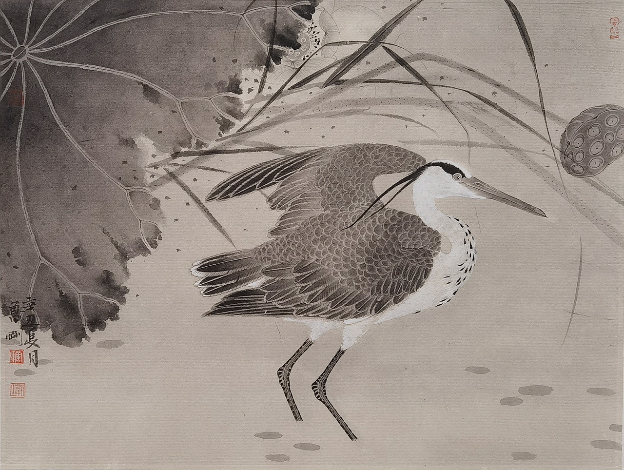 工笔画 花鸟画 鲁刚作品