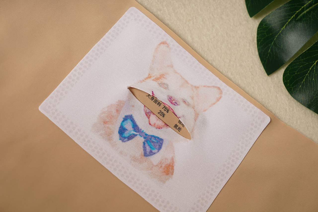 女士口袋内裤产品静物拍摄