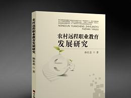 《农村远程职业教育发展研究》电子科技大学出版社