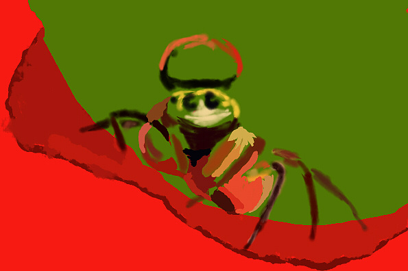 萌系小跳蛛绘画过程