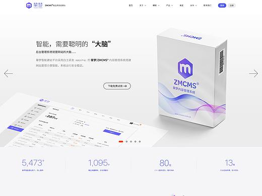 挚梦科技网站建设官网改版设计