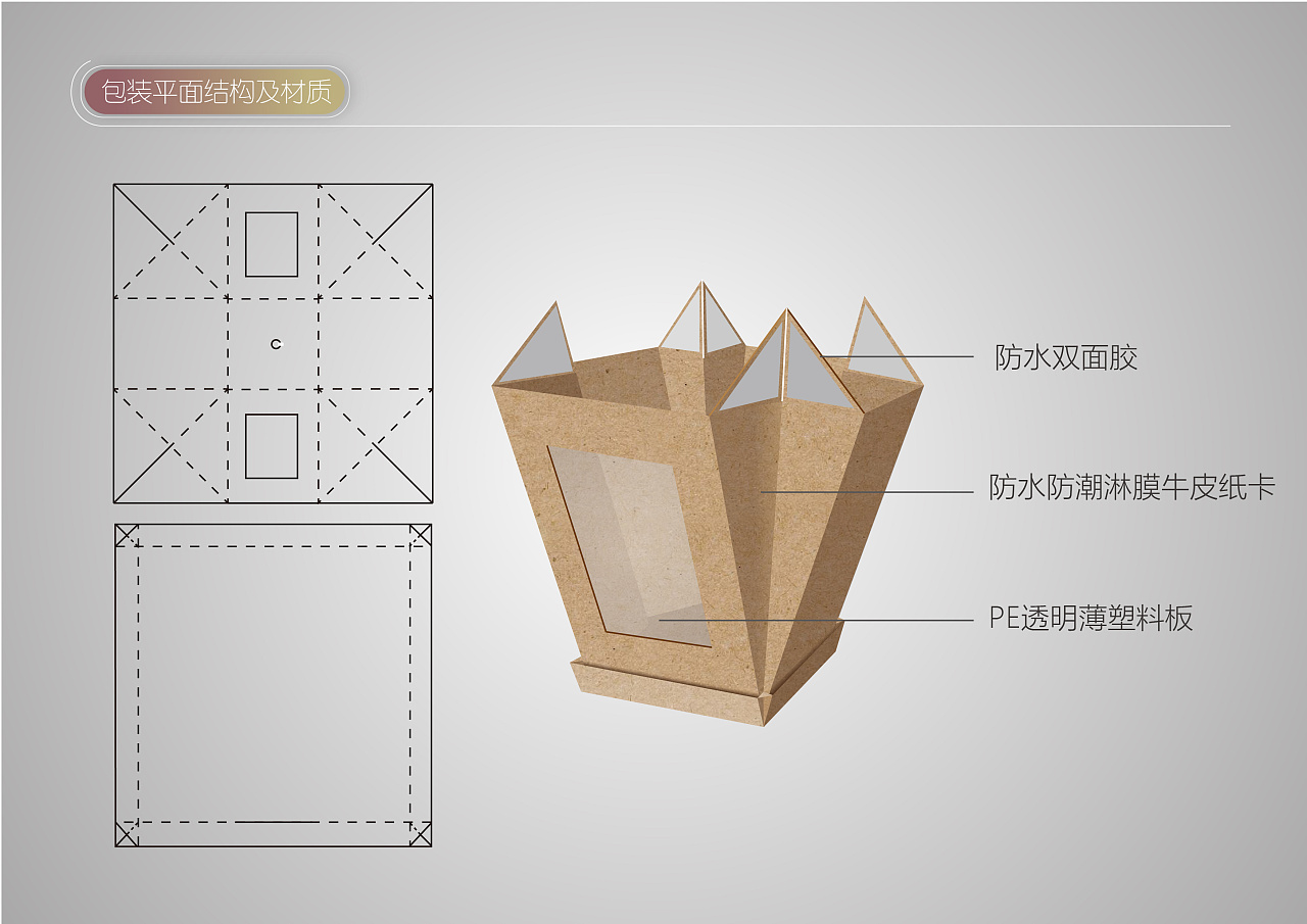 创意多肉植物包装设计