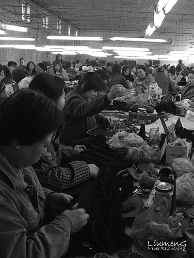 拼接皮毛的女工。把小块的动物皮毛拼成大张的,据说矽肺患者很多因为很多细毛在空中。