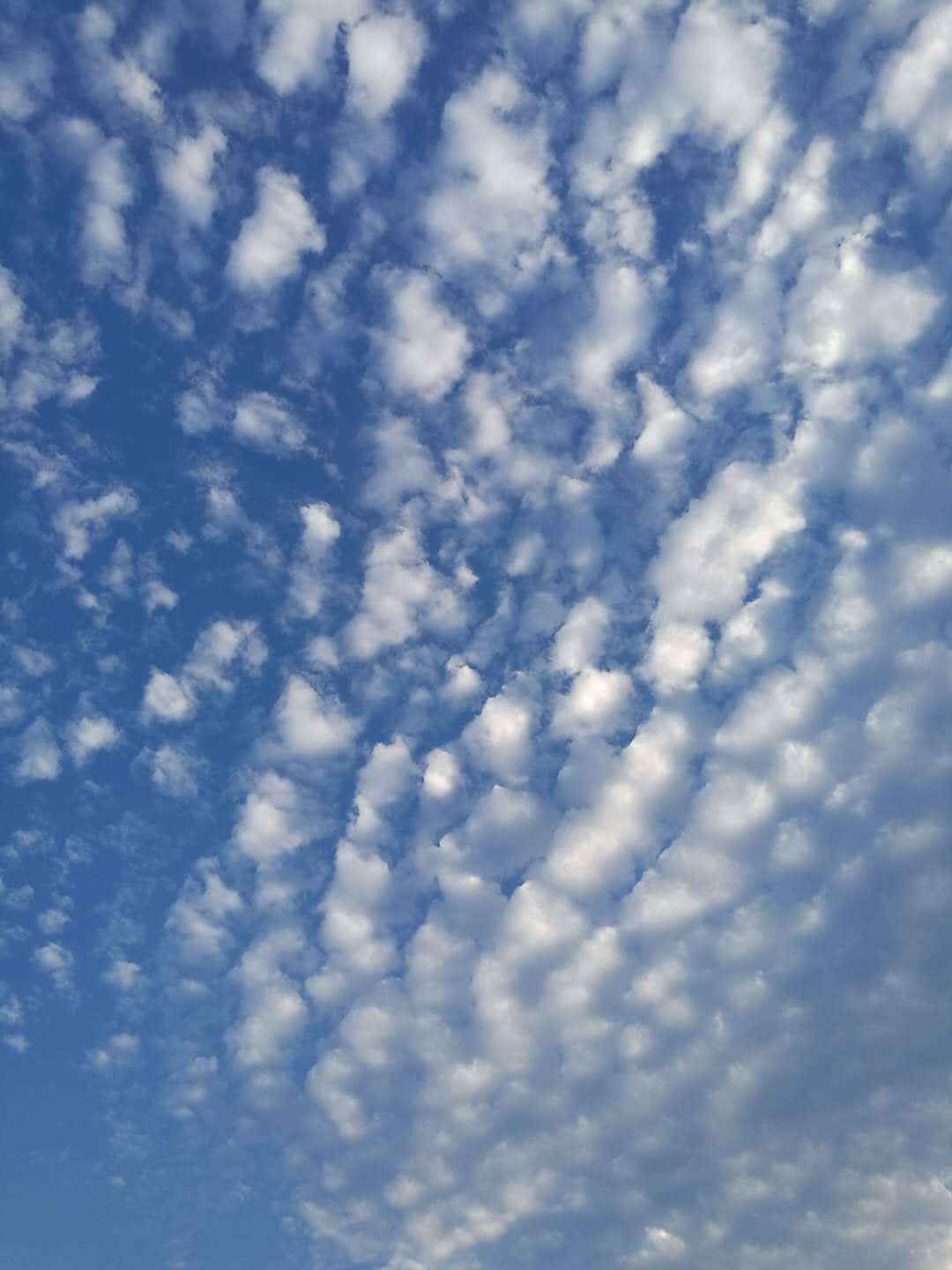 随拍（图ZMTAwNTM3NDM2） - 风光摄影 - 站酷设计师水煮鱼没有酸菜原创素材 - 站酷ZCOOL