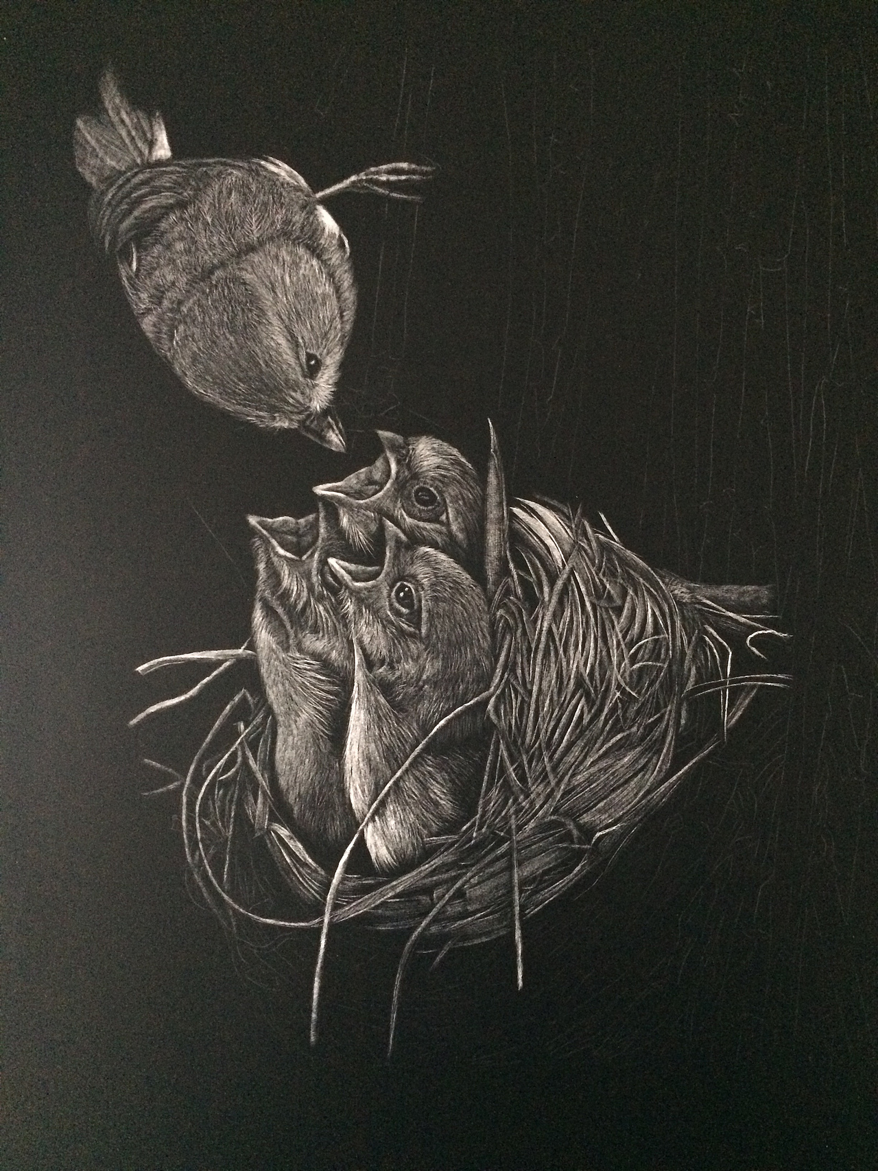 《路灯,老人和狗》标签李子哥刮画刮版画黑白艺术作品信息创作时间