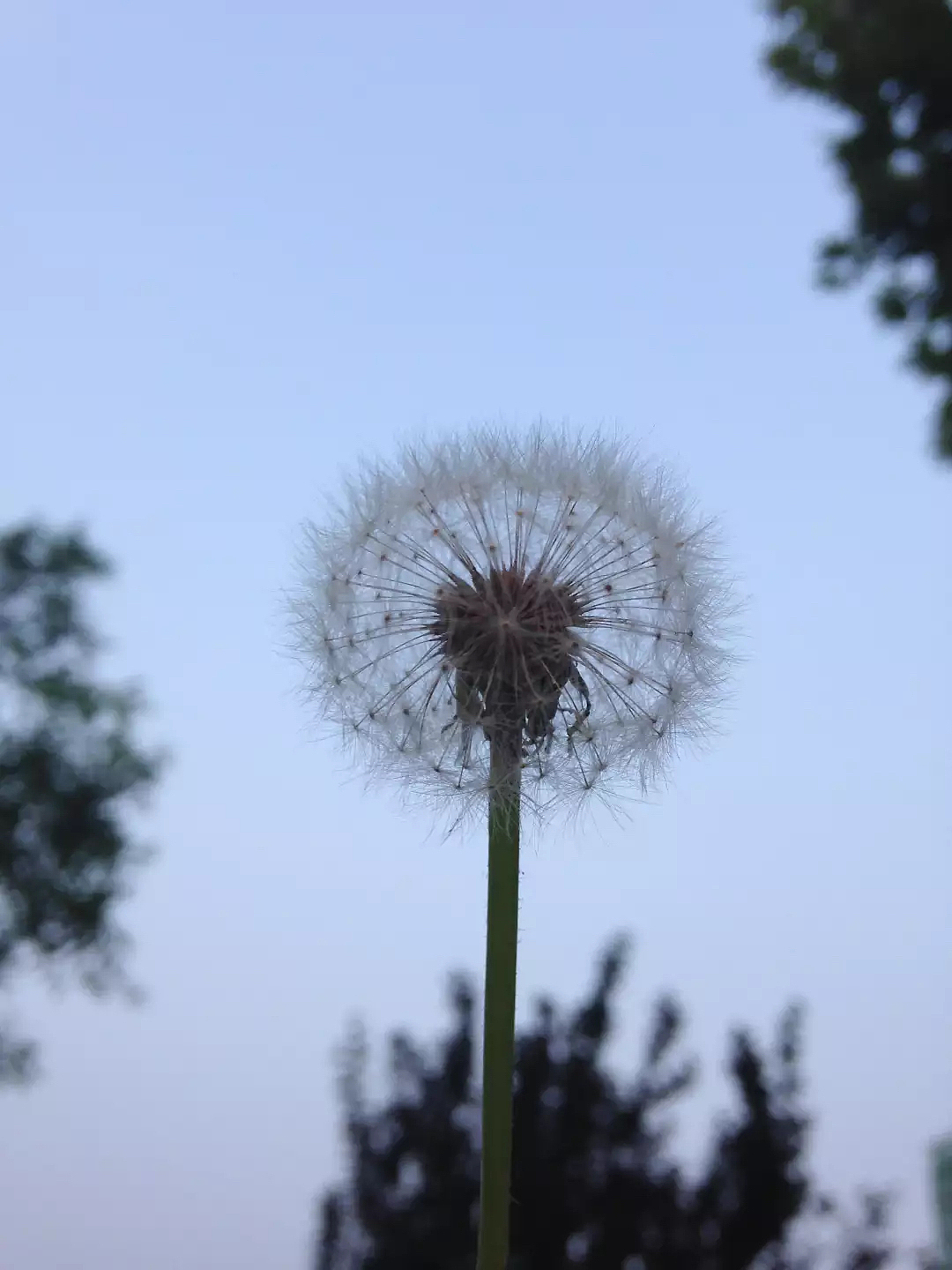 2015的行走-—风景 小品