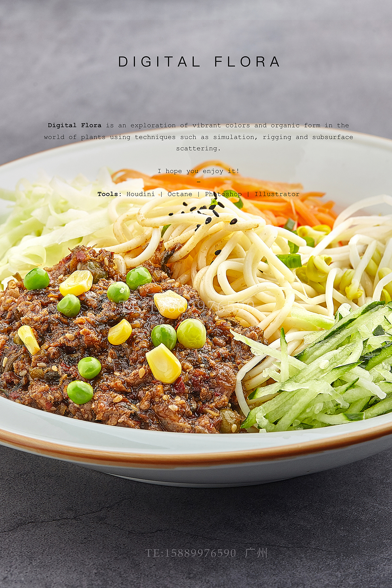 广州餐饮摄影 美食摄影 菜品拍摄 正摄影15889976590