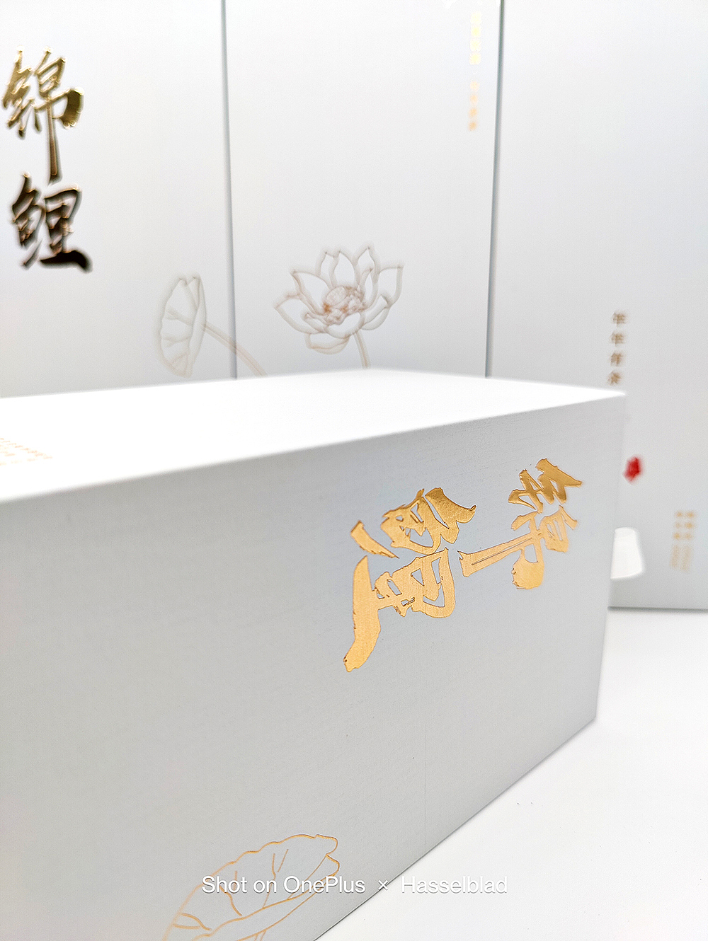 鲤鱼闹莲池(锦鲤酒设计)