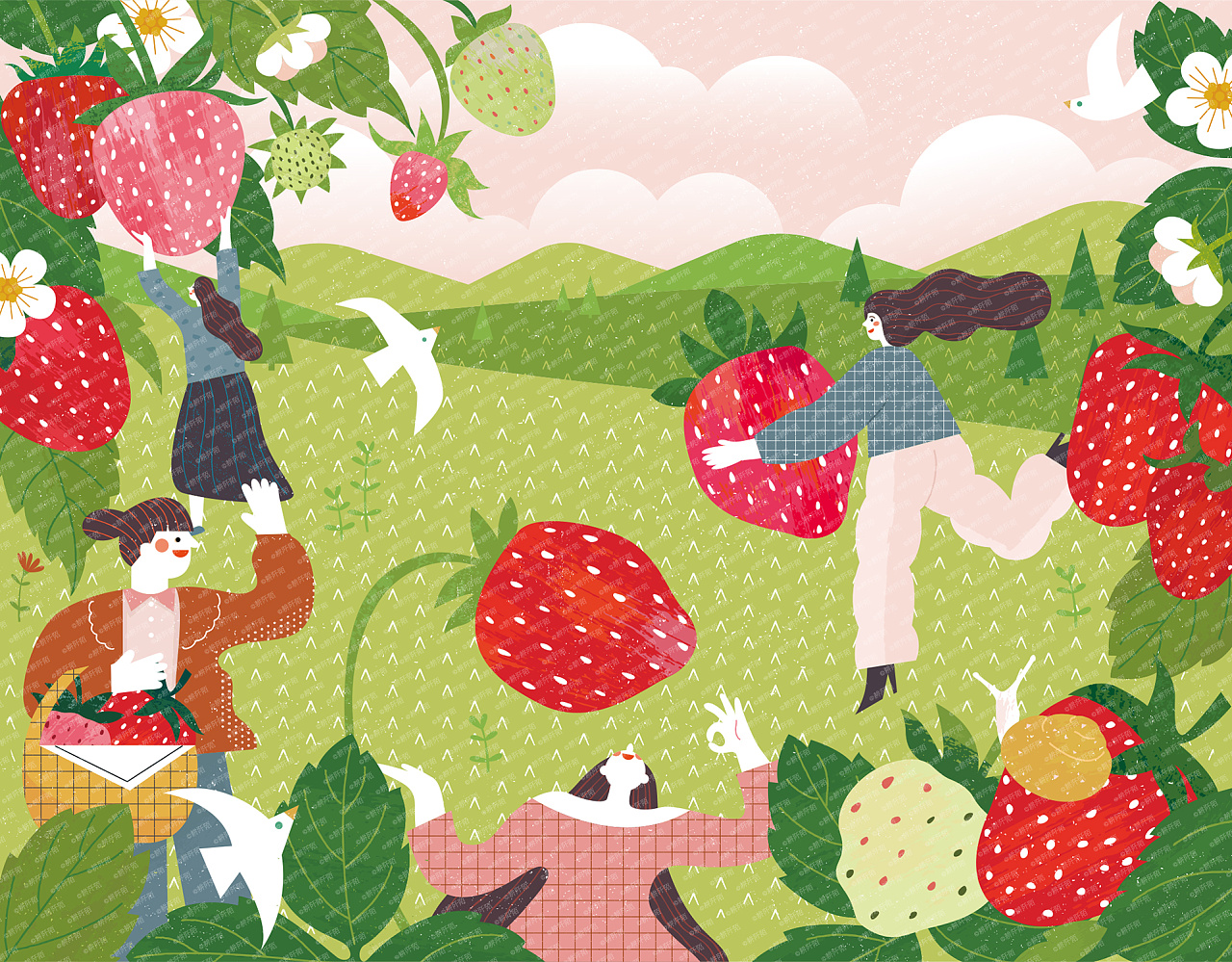 农产品包装插画——草莓插画耕阡陌
